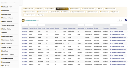 DoliResources - Dolibarr - 04_pierres_precieuses_d4f6fc14-ae4f-4156-96c9-52292d477f43