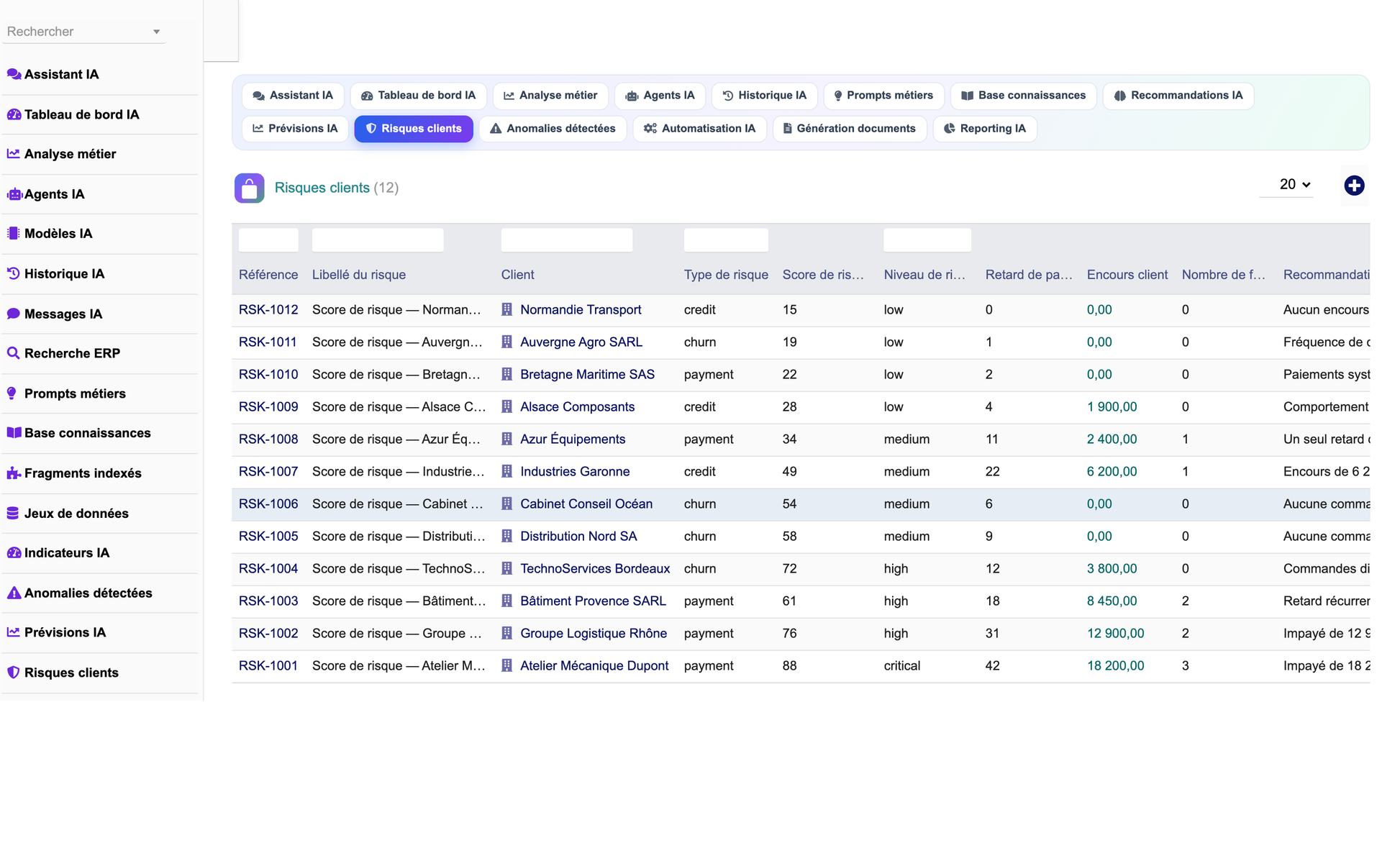 DoliResources - Dolibarr - 10_risques_clients