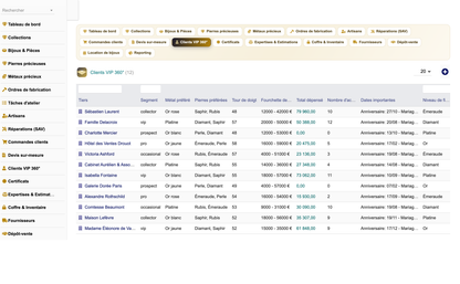 DoliResources - Dolibarr - 11_clients_vip_c9b44aba-b33e-41ec-ad8f-e8ca9cc14079